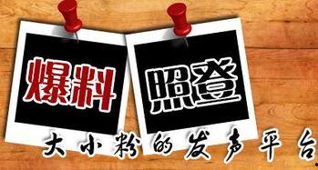 新闻 爆料,最新新闻事件深度解析